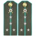 Погоны полевые КАПИТАН, Пограничных Войск НКВД, обр. 1943г.